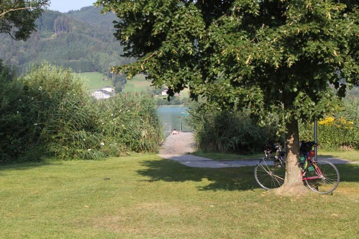 Wunderschoene Ferienwohnung Mit Seeblick Zell am Moos Dış mekan fotoğraf