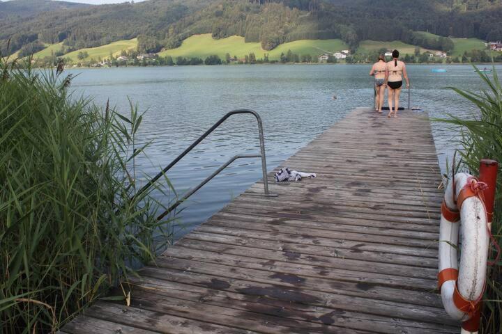 Wunderschoene Ferienwohnung Mit Seeblick Zell am Moos Dış mekan fotoğraf